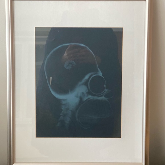 Homer Simpson XRay in picture frame - Picture 5 of 6